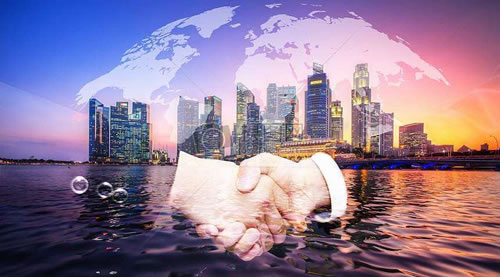 企業五行團隊分析